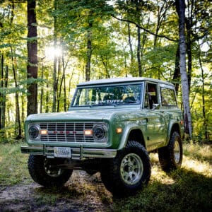 The Duck by Lick Creek Restorations