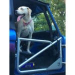 Penny the Dog sitting in Hobby Horse - James Duff Trail Doors