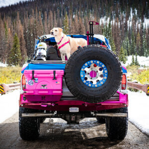 Rito'S Rack - The Tailgater Early Bronco Cooler Rack